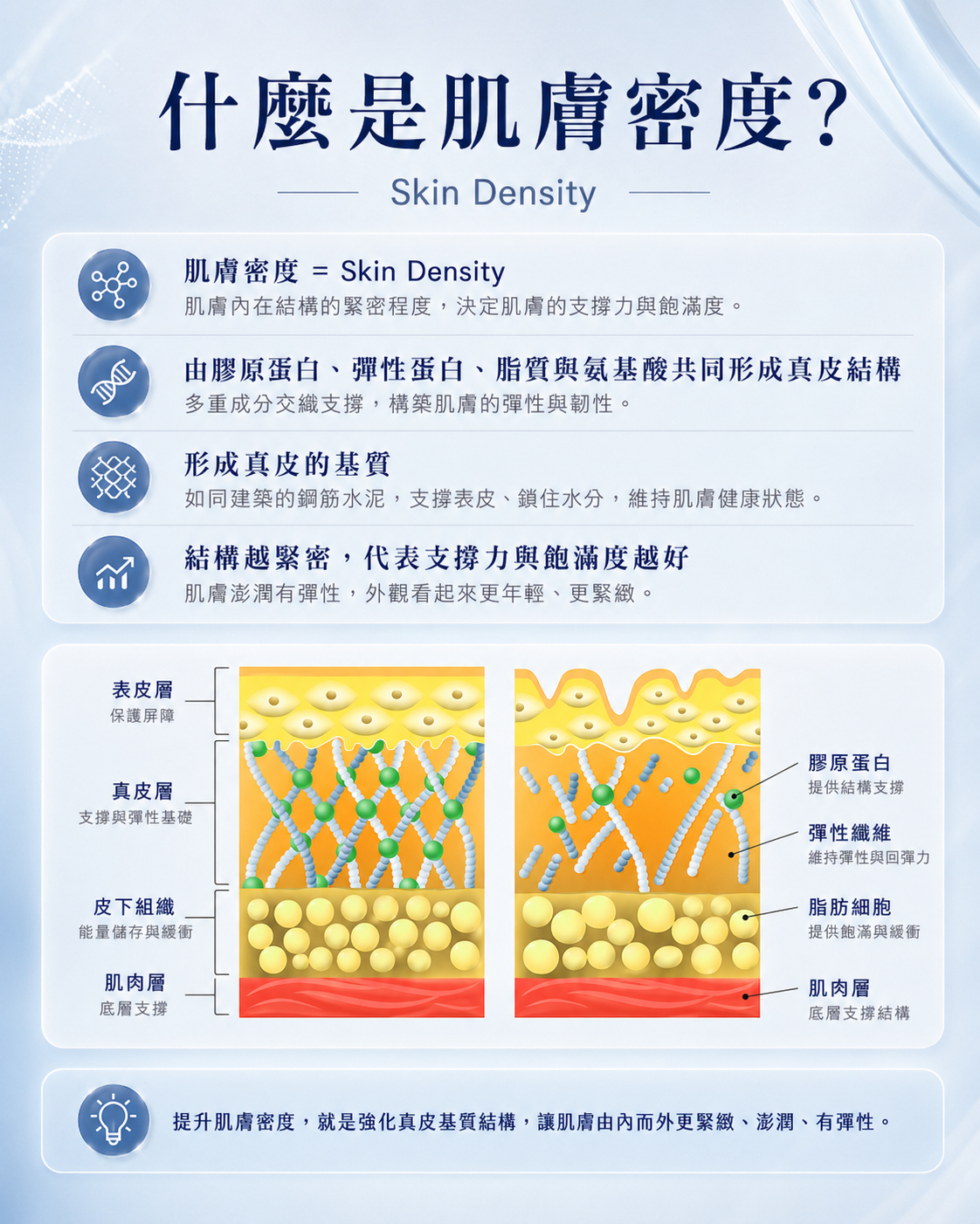 什麼是肌膚密度 Skin Density